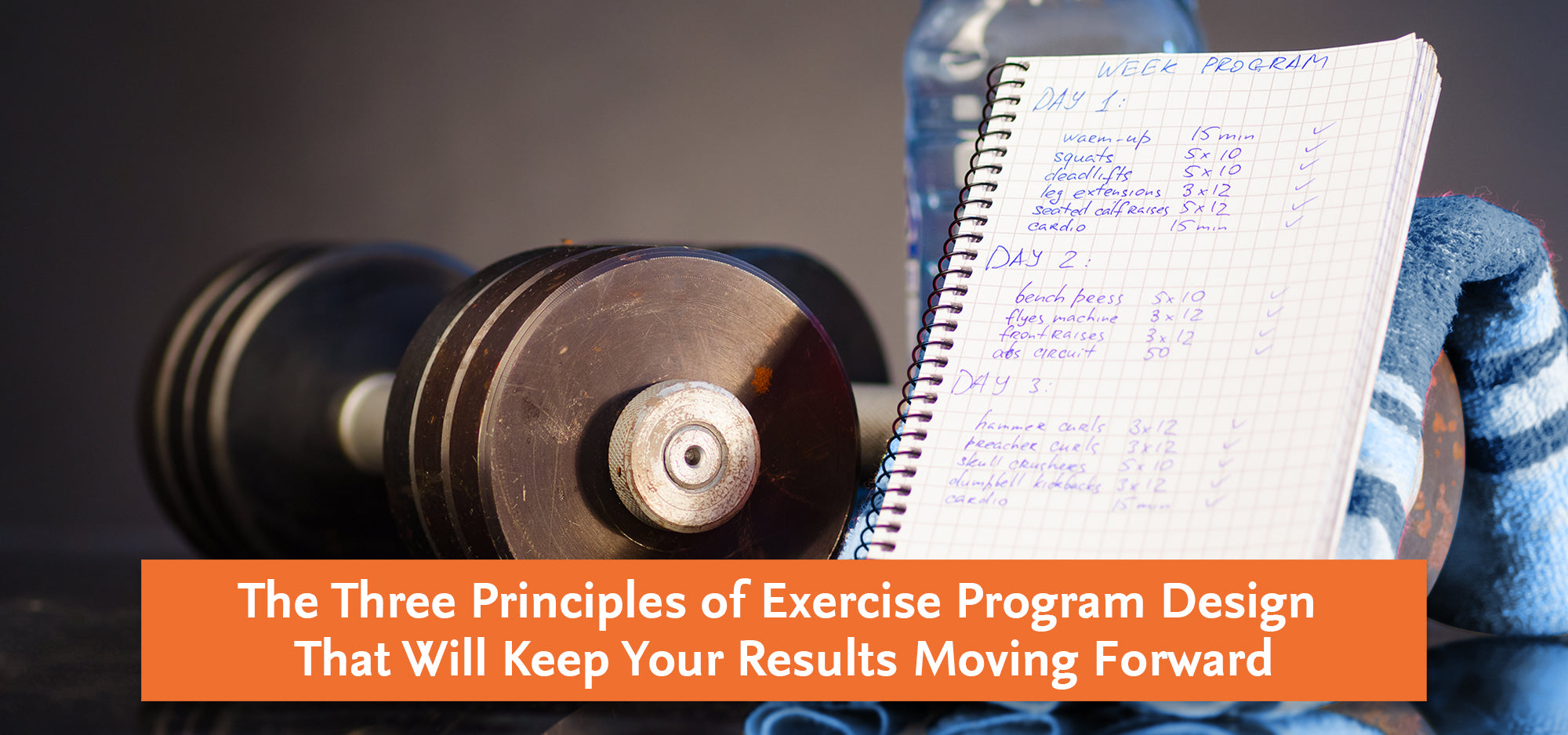 3 Principles of Exercise | Move Your Results Forward
