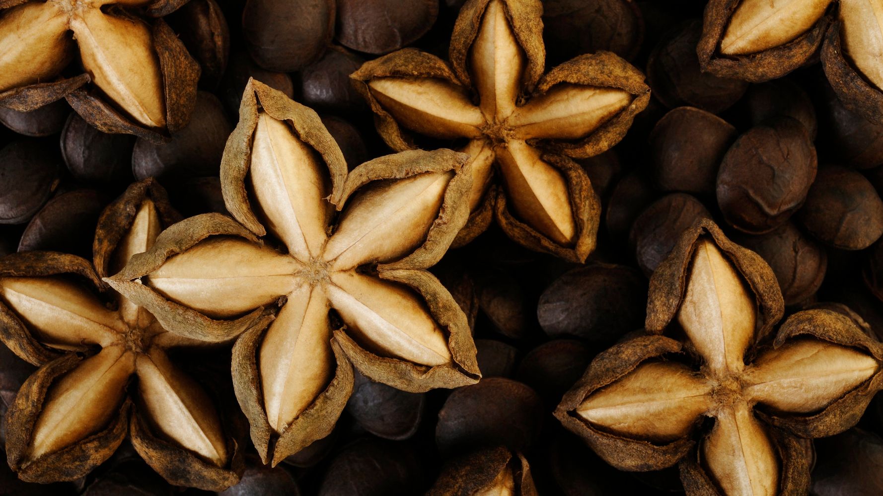 Sacha Inchi: A Gem in Lean Way Plant'd Protein