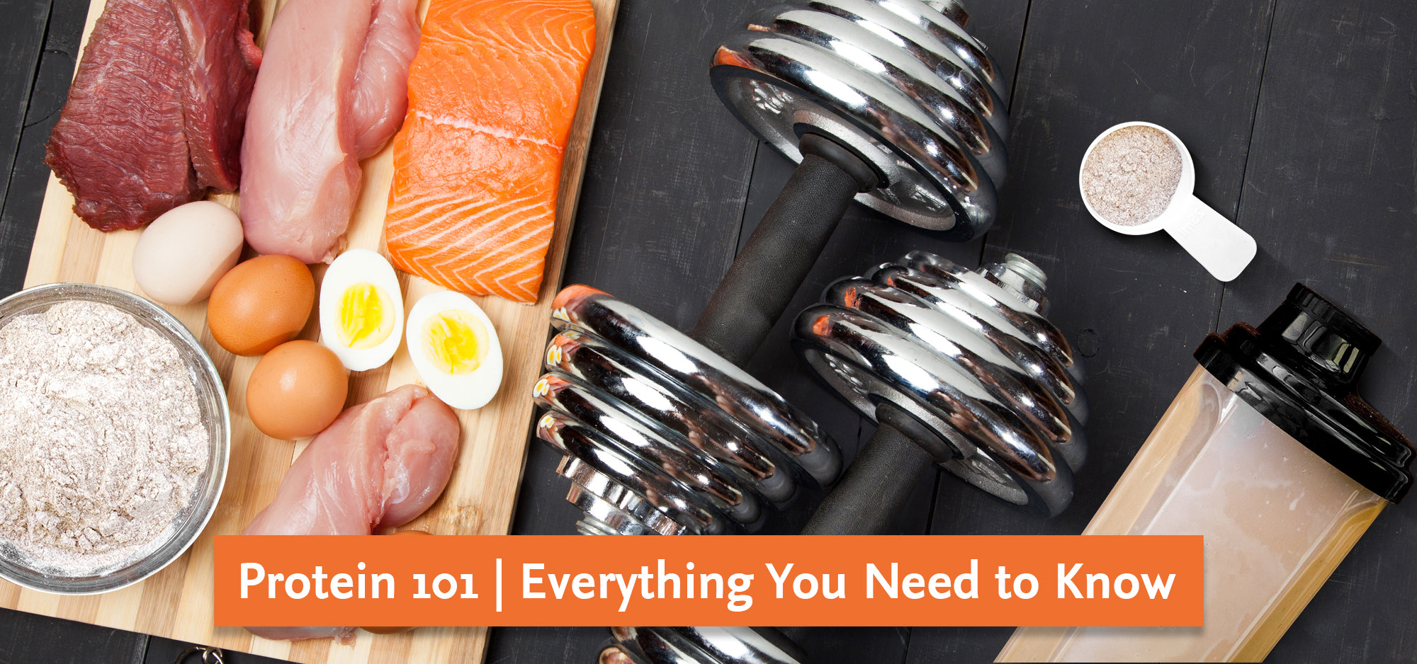 Protein 101 | Everything You Need to Know