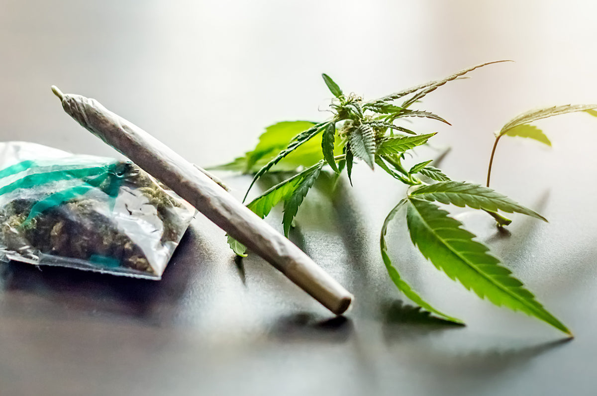 The Negative Effects of Weed on Health and How to Counter Them