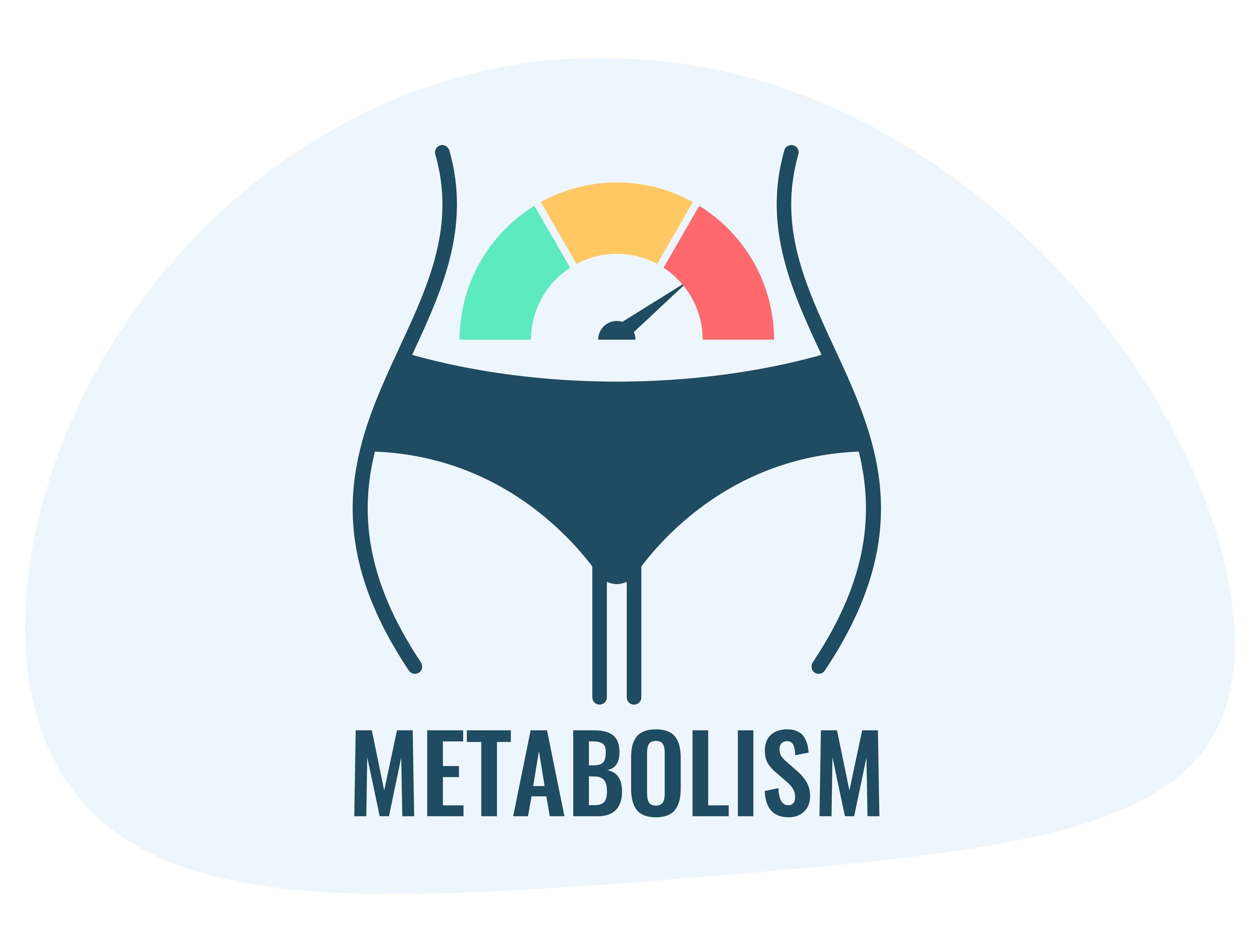 L-Carnitine, GBB & Mitoburn for Fat Metabolism