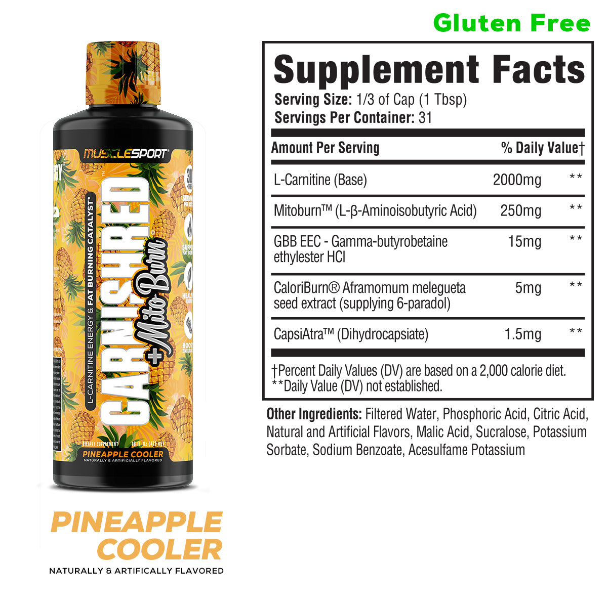 CarniShred®+ Mitoburn® 16oz Liquid - Non Stim Metabolism Support, - Workout Catalyst