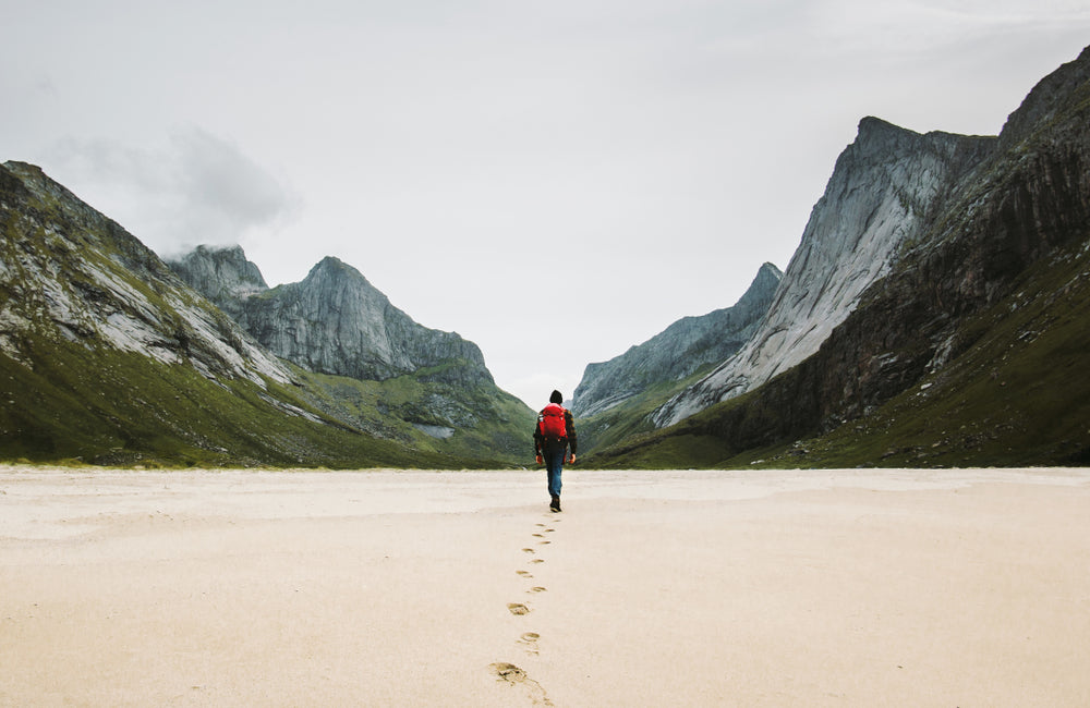 Leave the World Behind: Health, Fitness, and Survival Skills?