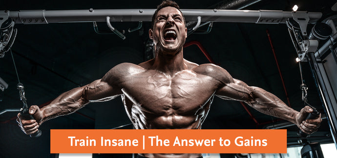 Train Insane | The answer to gains