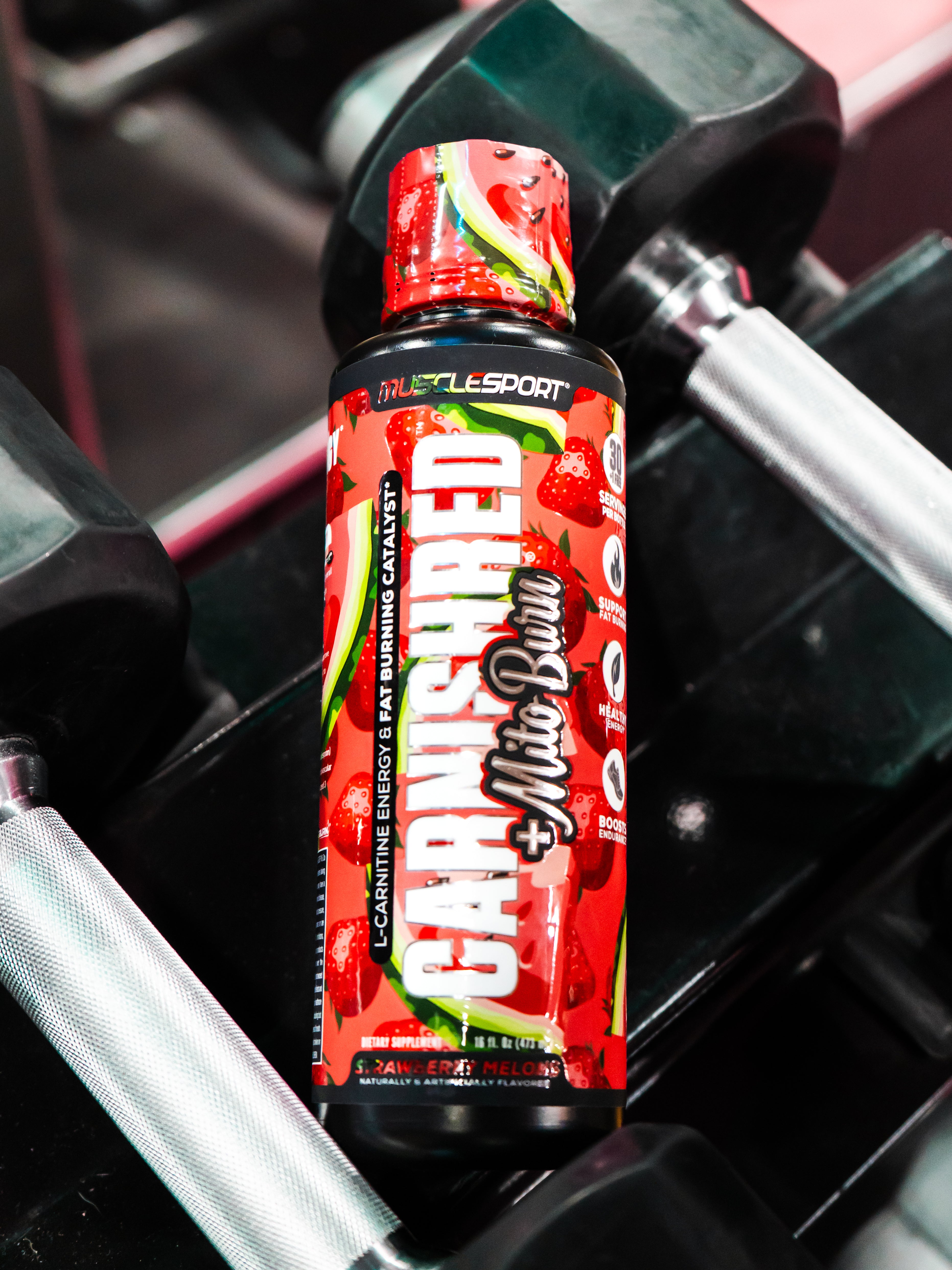 CarniShred™ + MItoburn® Workout Catalyst | MuscleSport® – Musclesport®